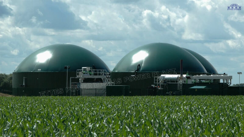 MAN 300kW 500kW container agricultural biogas powered generation & CHP ETTES POWER