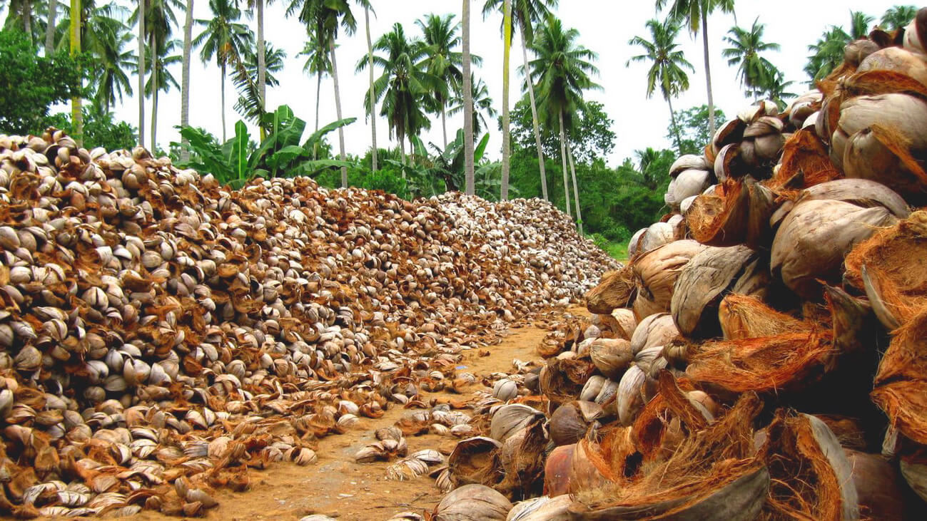 Ettes Power Syngas Biomass Power Generation with Coco husks as fuel Ettsepower